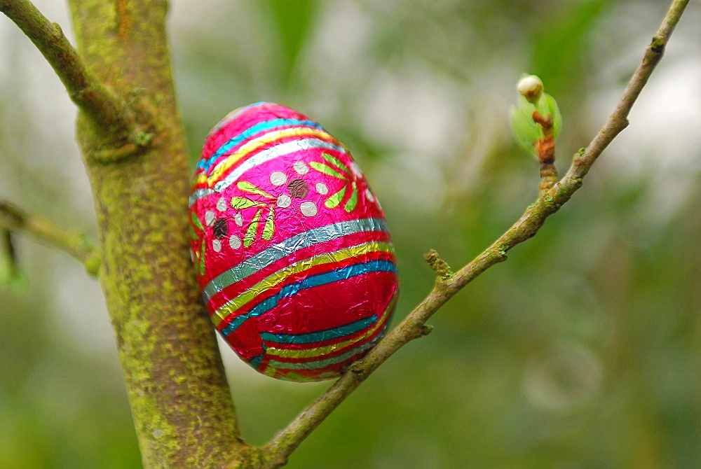 Easter egg search, Paris, France, Europe