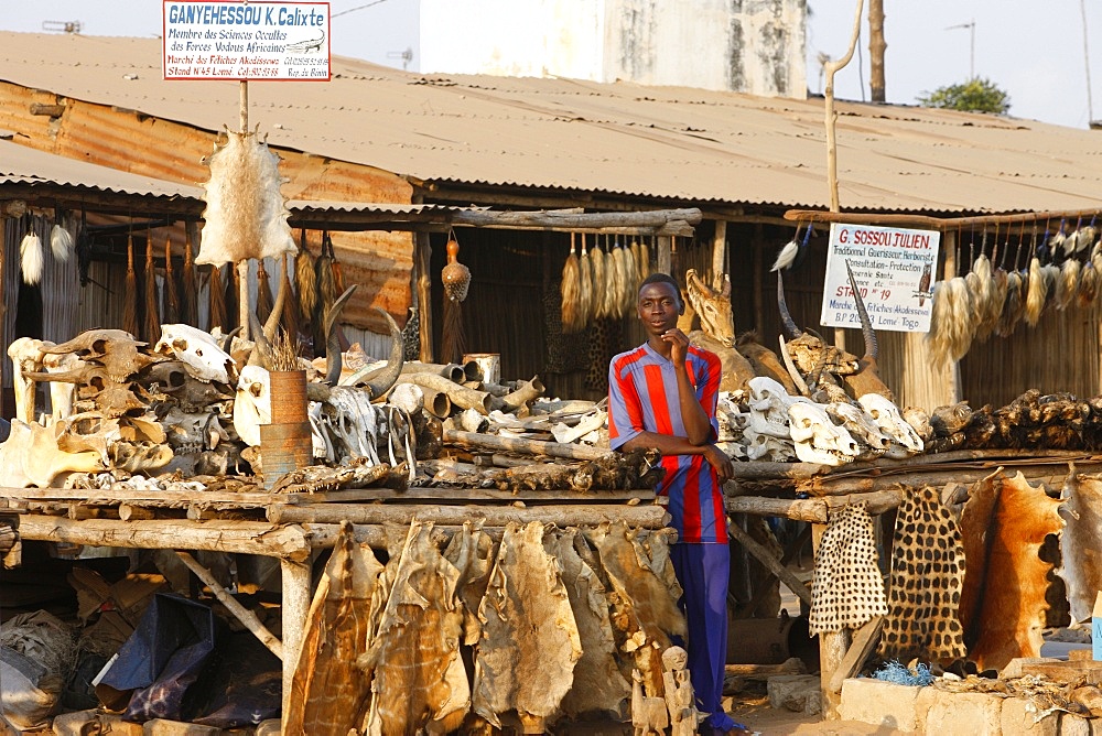 Akodessewa fetish market, Lome, Togo, West Africa, Africa