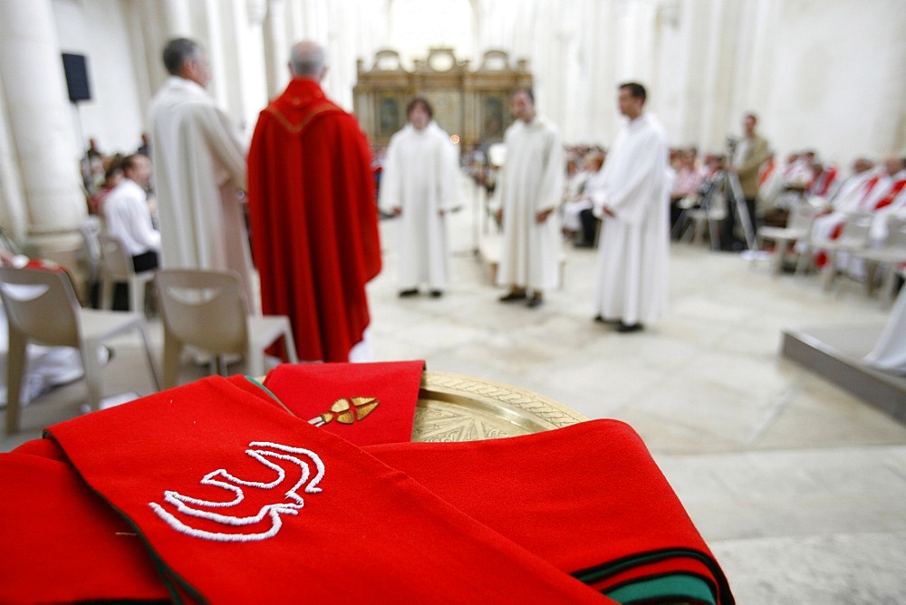 Deacon ordination in Pontigny Abbey church, Pontigny, Yonne, Burgundy, France, Europe