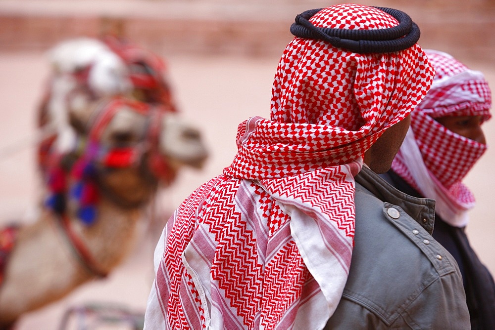 Camel drivers wearing traditionnal keffiyah scarves in Petra, Jordan, Middle East