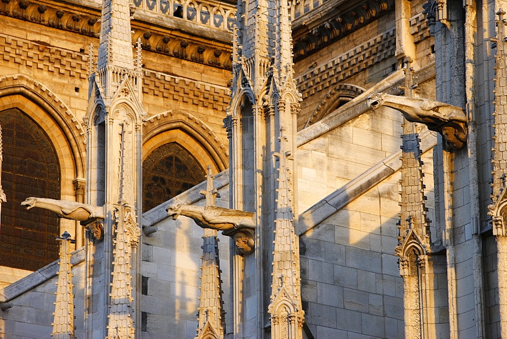 Gargoyles, Notre Dame Cathedral, UNESCO World Heritage Site, Paris, France, Europe