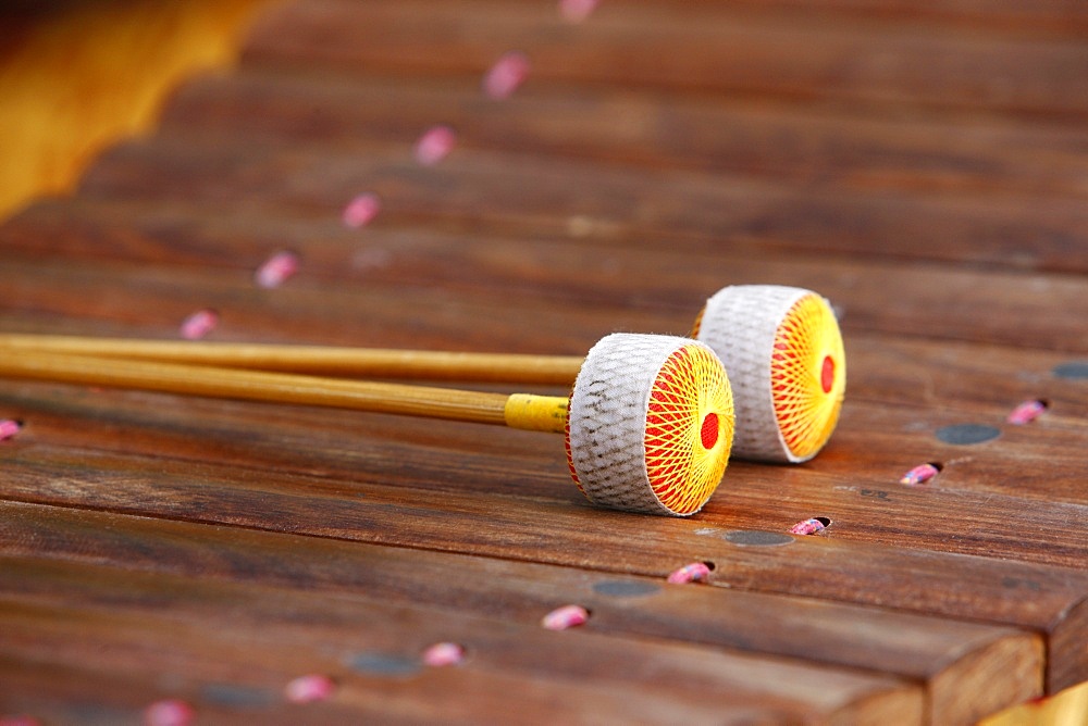 Lanad, Lao xylophone, Paris, France, Europe