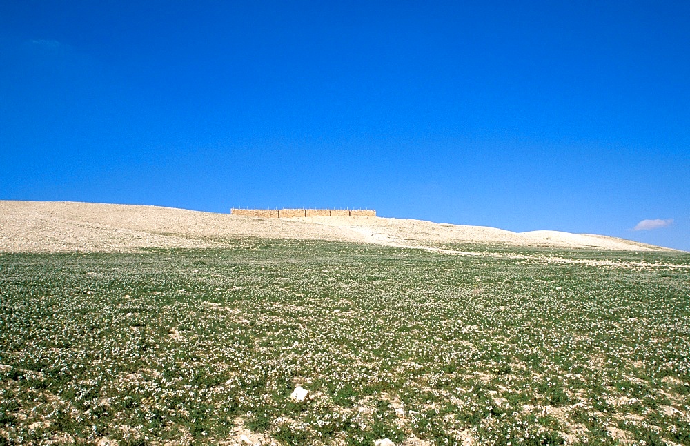 The Israelite fortress at Tel Arad in the Negev Desert, Israel, Middle East