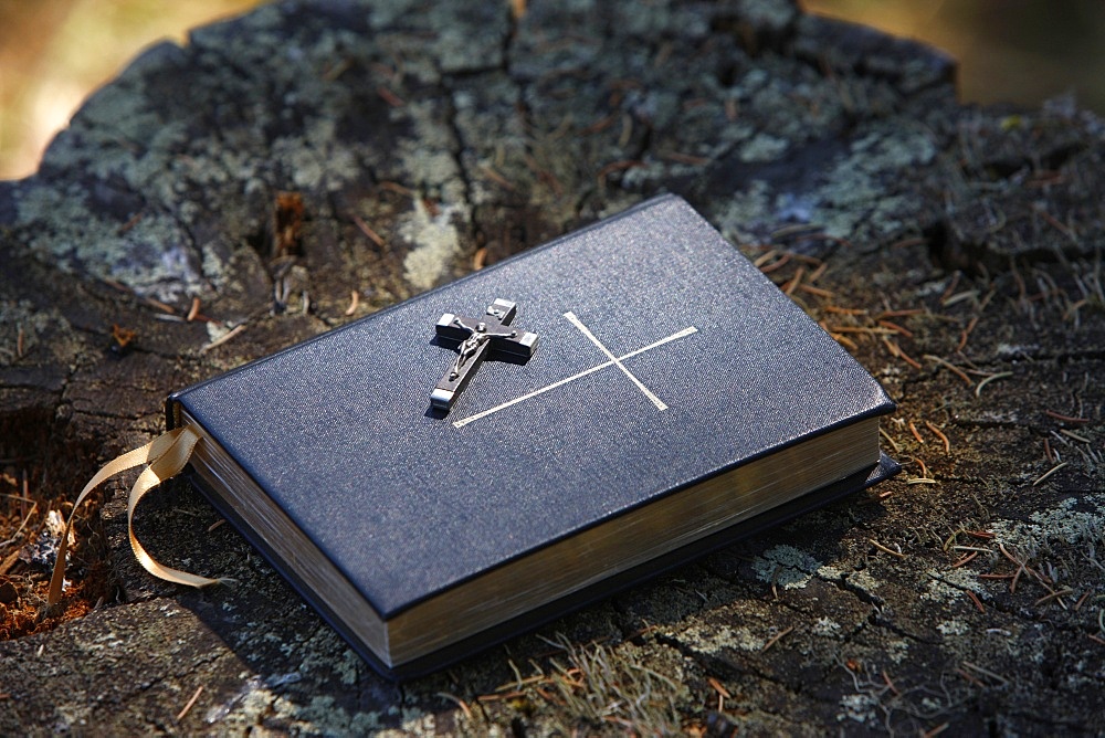 Bible on tree bark, Megeve, Haute Savoie, France, Europe