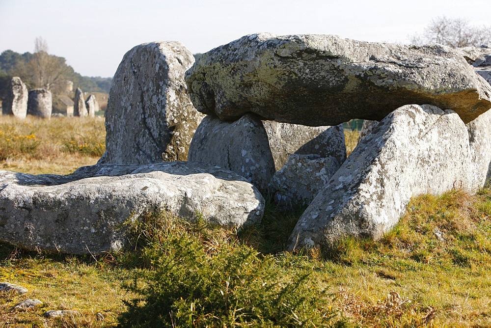 Kermario menhirs in Carnac, Morbihan, Brittany, France, Europe