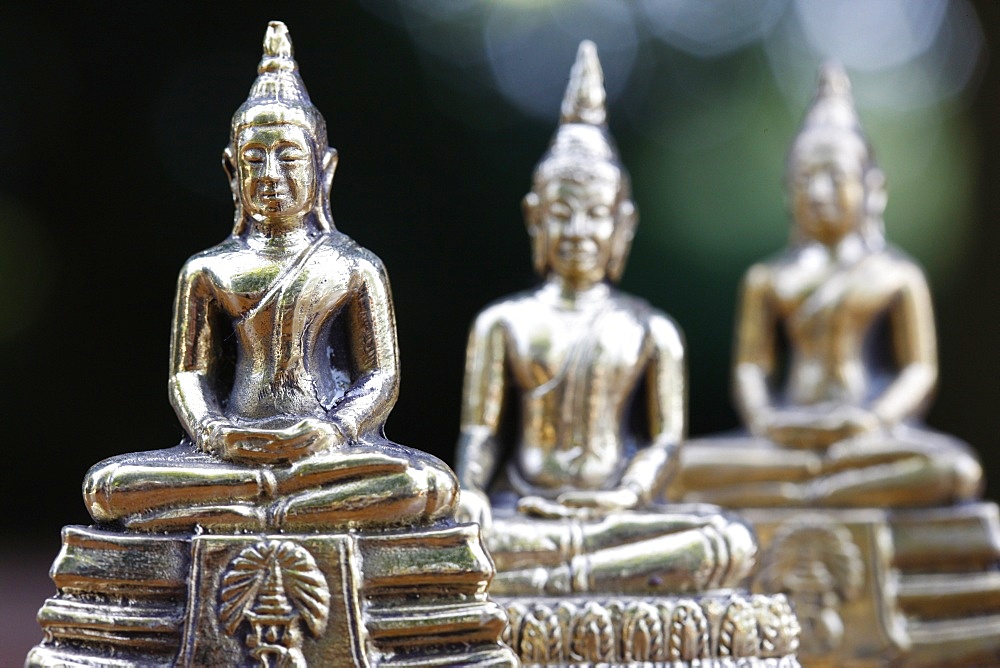 Buddha statues, Paris, France, Europe