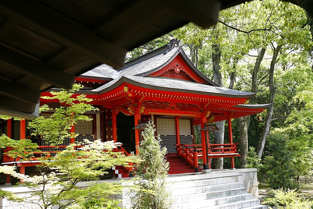 Daikakuji temple, Kyoto, Japan, Asia