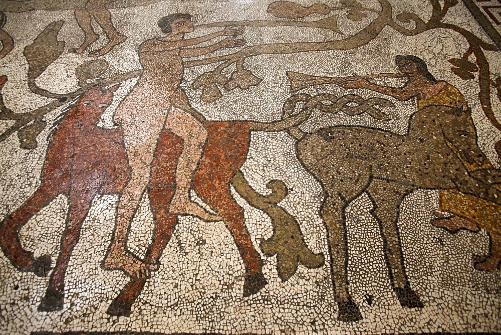 Mosaic of riders on the floor of the central nave, Otranto Duomo, Otranto, Lecce, Apulia, Italy, Europe