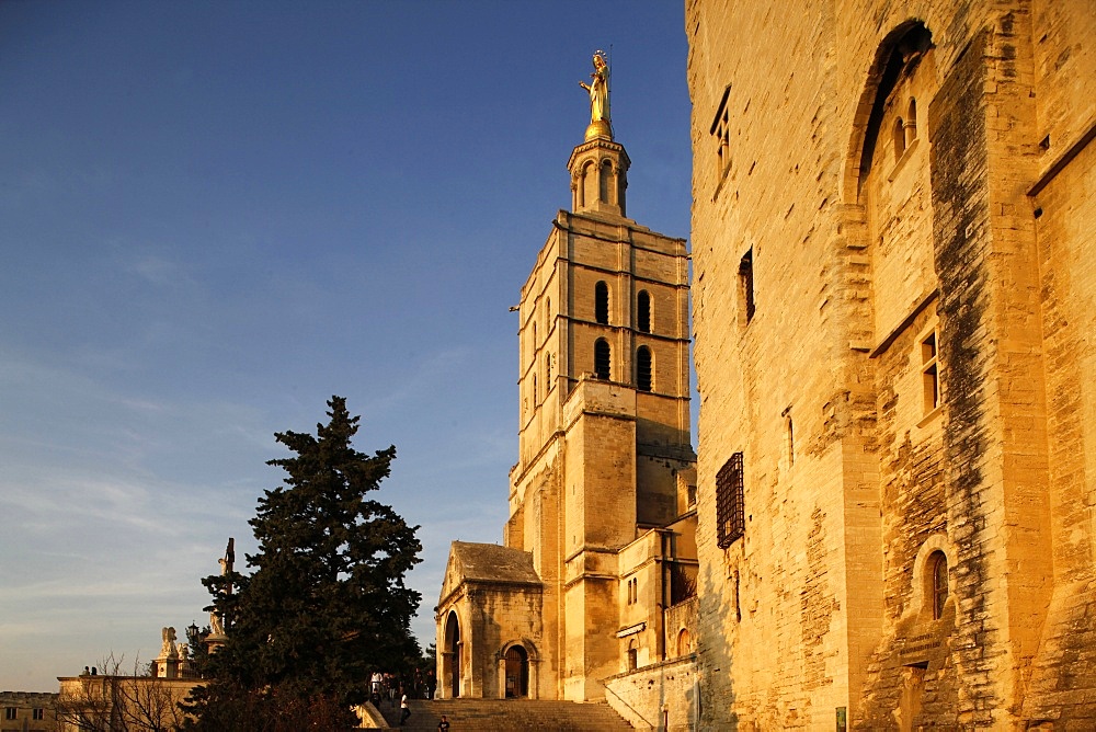 Cathedral and Palais des Papes, UNESCO World Heritage Site, Avignon, Vaucluse, France, Europe