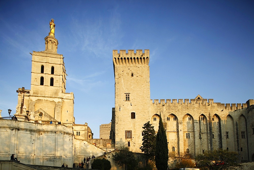 Cathedral and Palais des Papes, UNESCO World Heritage Site, Avignon, Vaucluse, France, Europe