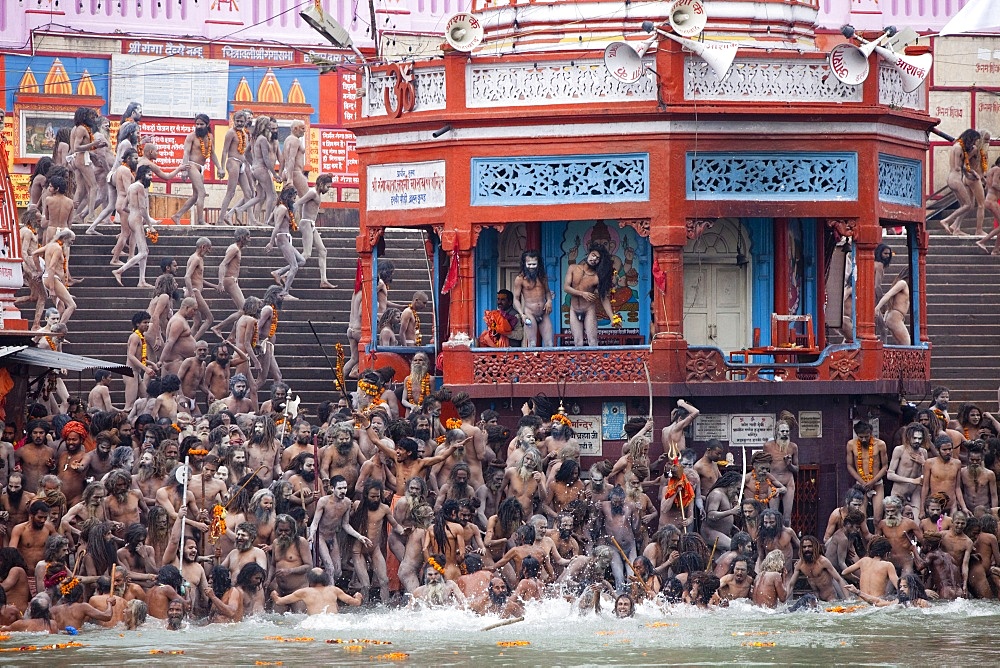 Sadhus at a royal bath (Sahi Snan) during Kumbh Mela in Haridwar, Uttar Pradesh, India, Asia