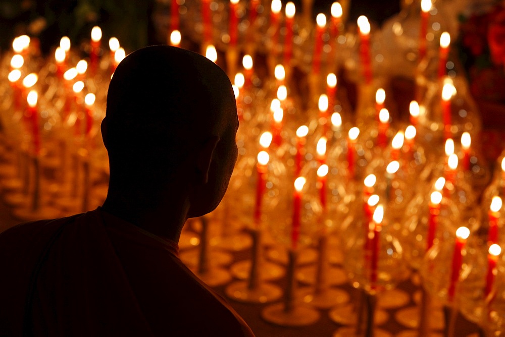 Wesak celebrating Buddha's birthday, awakening and Nirvana, Great Buddhist Temple (Grande Pagode de Vincennes), Paris, France, Europe