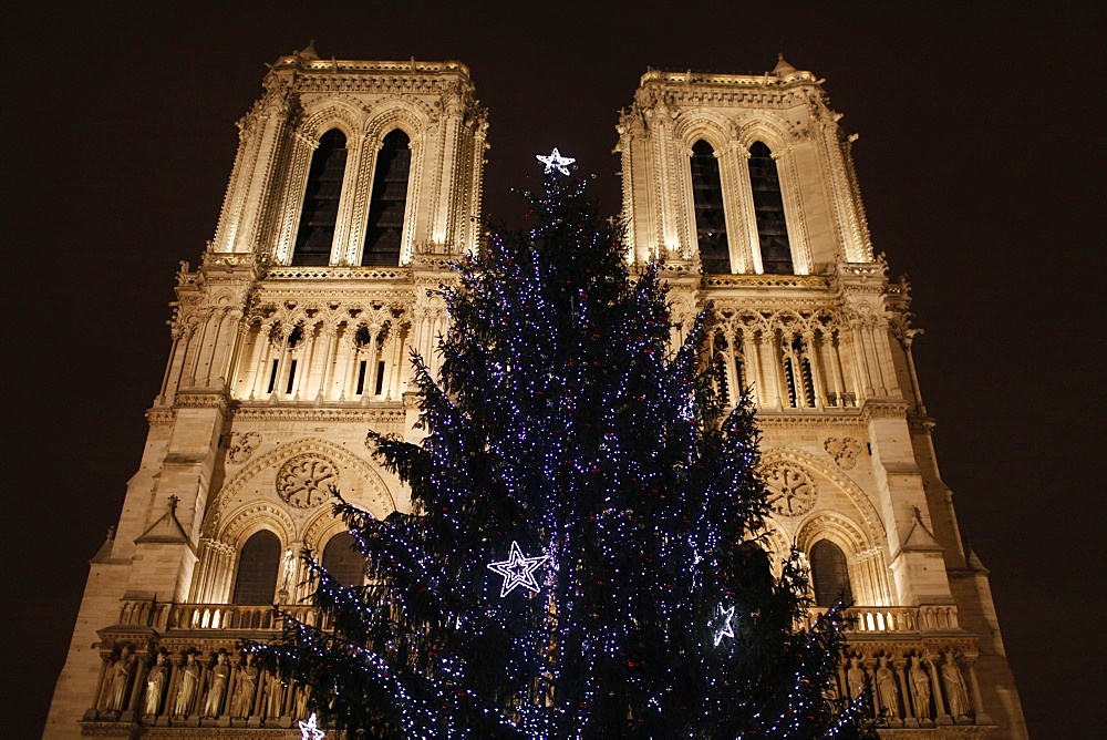 Christmas tree outside Notre-Dame de Paris cathedral, Paris, France, Europe