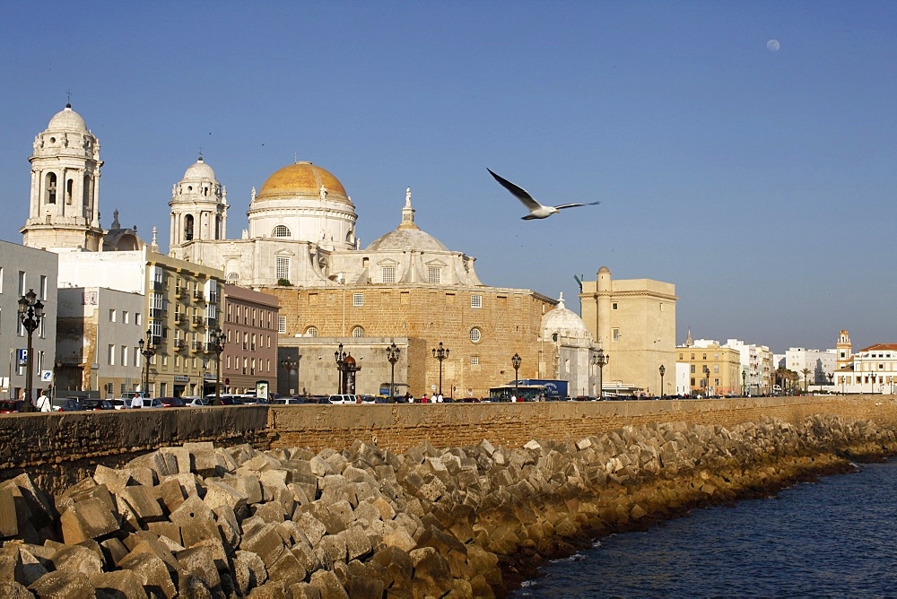 Cadiz waterfront, Cadiz, Andalucia, Spain, Europe