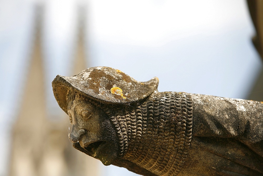 St. Gatien Cathedral gargoyle, Tours, Indre-et-Loire, France, Europe