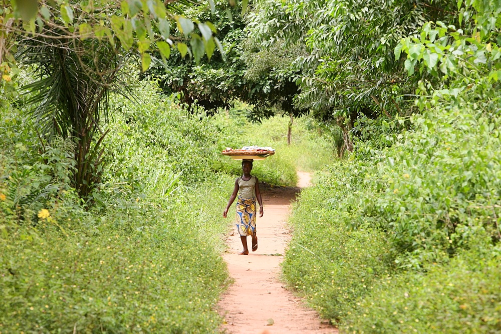 Vendor, Tori, Benin, West Africa, Africa