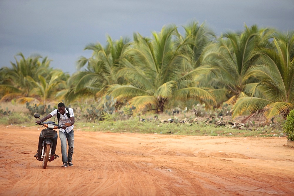 African road, Ouidah, Benin, West Africa, Africa