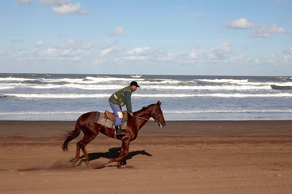 Horse rider on a beach near Azemmour, Morocco, North Africa, Africa