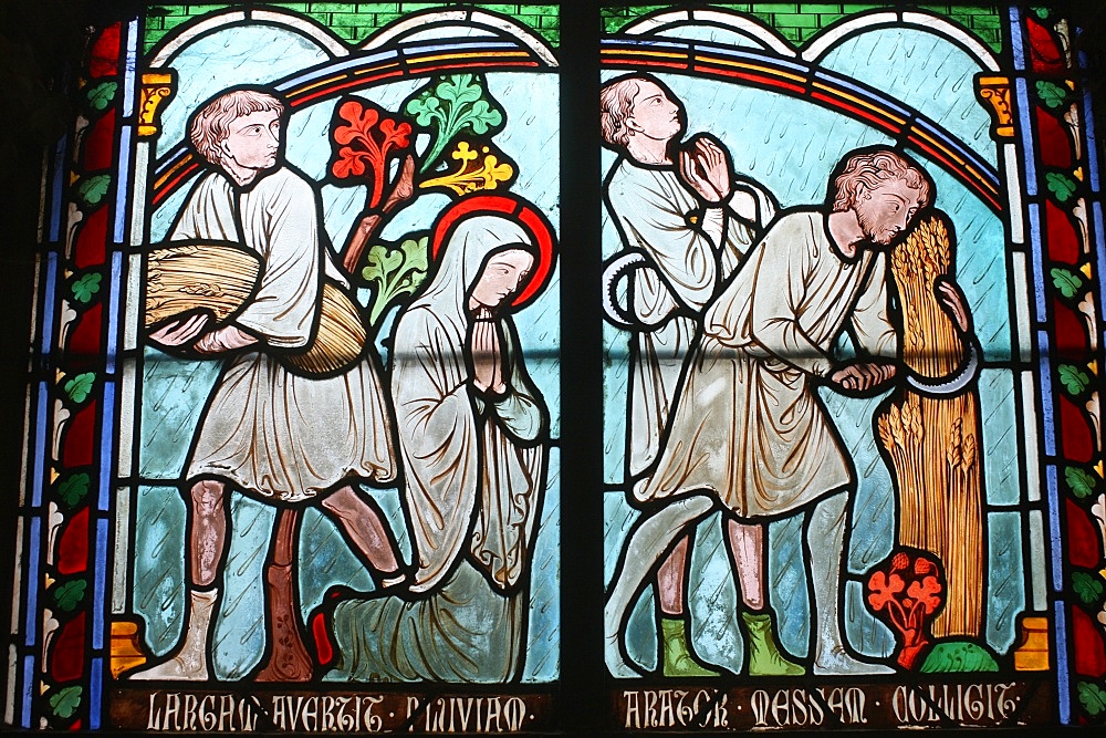 Stained glass depicting Sainte Genevieve's life, cloister of Notre-Dame de Paris cathedral, Paris, France, Europe