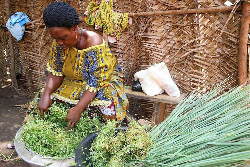 Herbal medicine, Lome, Togo, West Africa, Africa