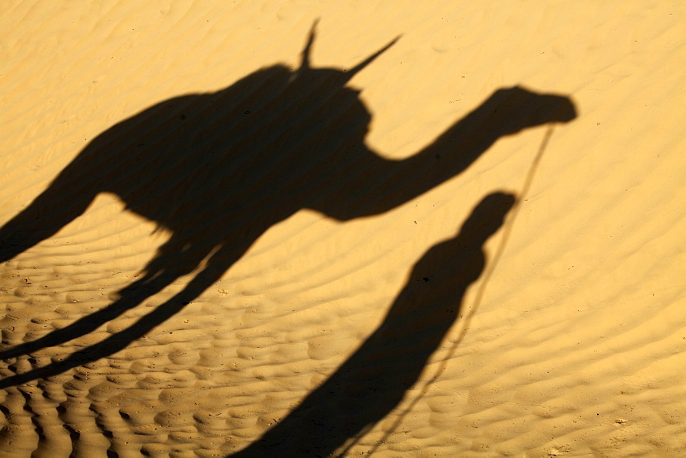 Camel driver's shadow in the Sahara desert, near Douz, Kebili, Tunisia, North Africa, Africa