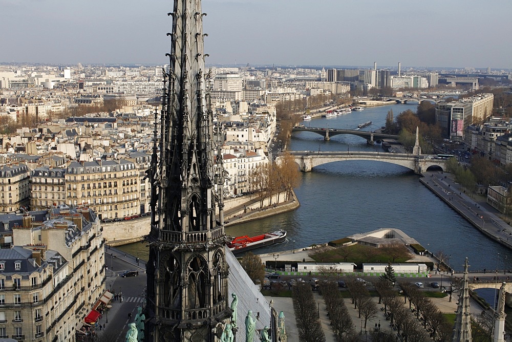 View from Notre Dame Cathedral roof, Paris, France, Europe