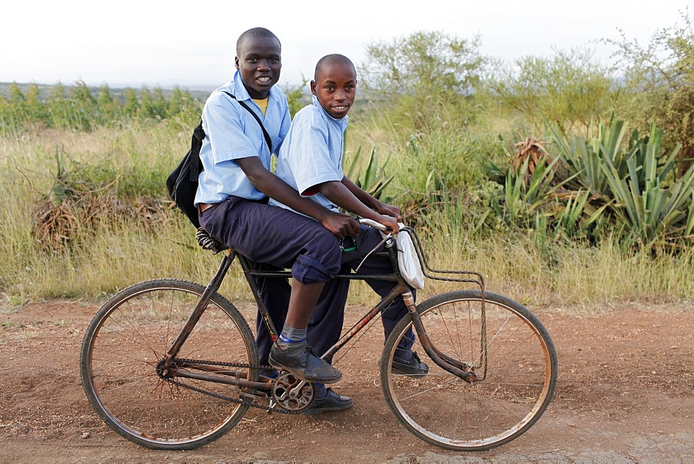 Schoolchildren on a bike, Embu, Kenya, East Africa, Africa