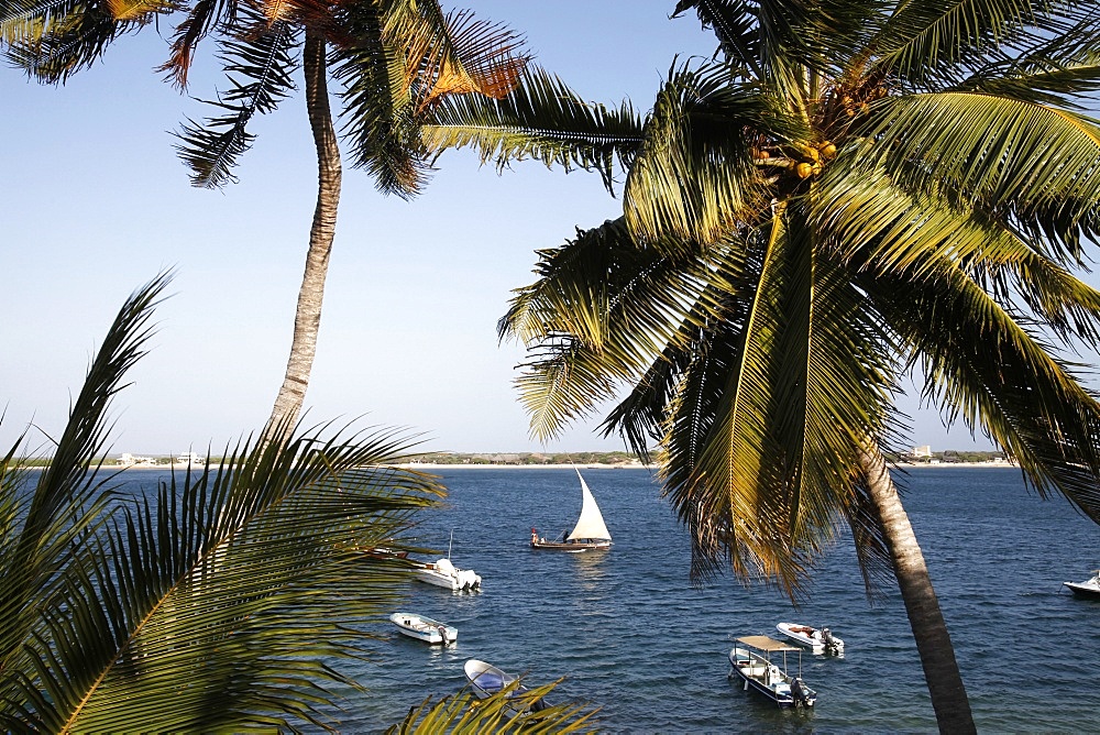 View from the Peponi hotel, Shela, Lamu Island, Kenya, East Africa, Indian Ocean, Africa