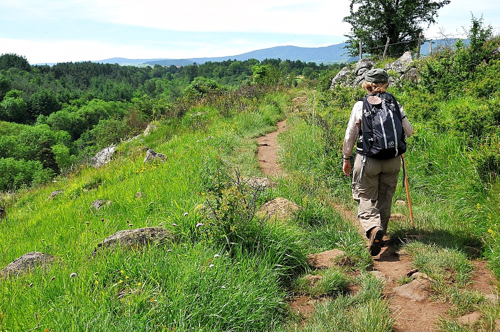 Pilgrim walking on the Way of St. James, Christian pilgrimage route towards Saint-Jacques-de-Compostelle (Santiago de Compostela), Languedoc-Roussillon, France, Europe