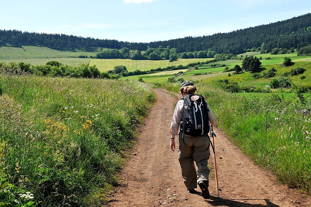 Pilgrim walking on the Way of St. James, Christian pilgrimage route towards Saint-Jacques-de-Compostelle (Santiago de Compostela), Languedoc-Roussillon, France, Europe