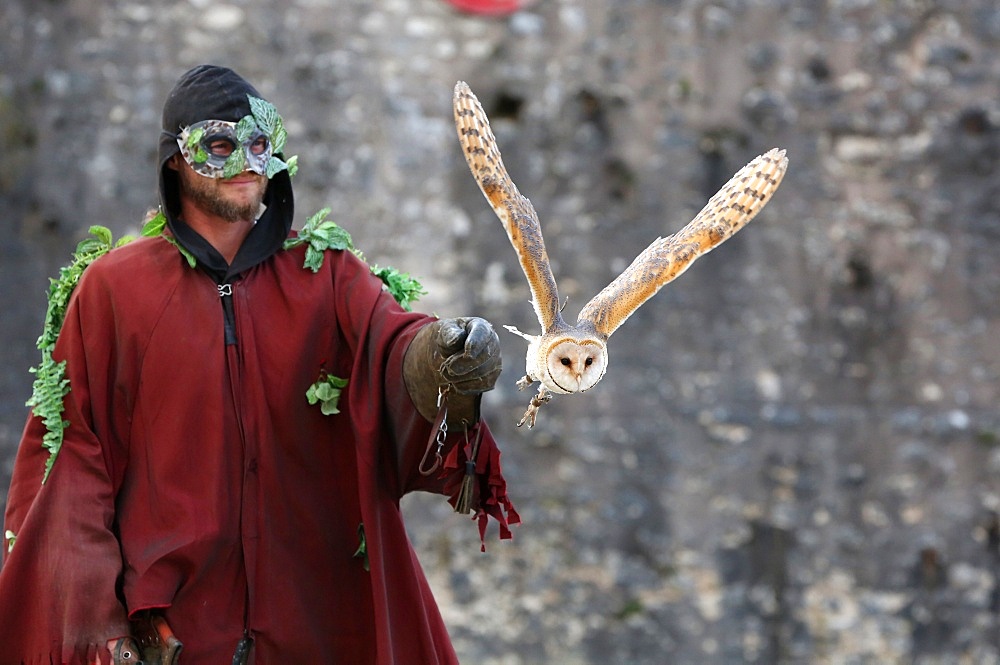 The legend of the knights, the medieval festival of Provins, UNESCO World Heritage Site, Seine-et-Marne, Ile-de-France, France, Europe