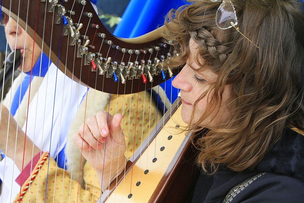 Harpist in the medieval festival of Provins, Seine-et-Marne, France, Europe