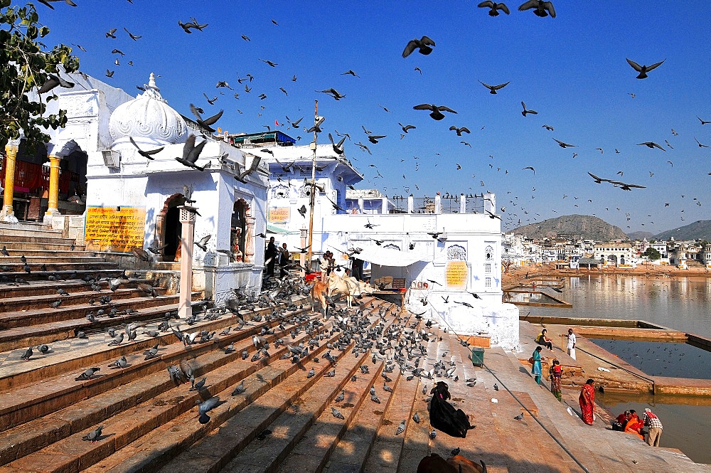 Ghats at Holy Pushkar Lake and old Rajput Palaces, Pushkar, Rajasthan, India, Asia