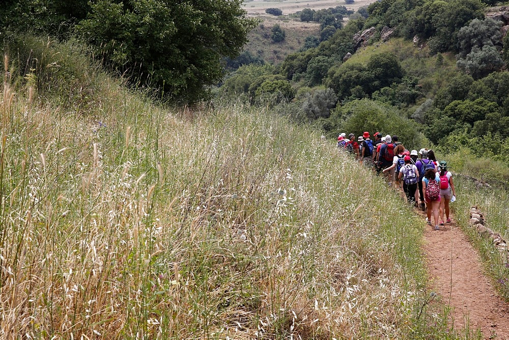 Pilgrims in the Holy Land walking in the Golan Heights, Galilee, Israel, Middle East