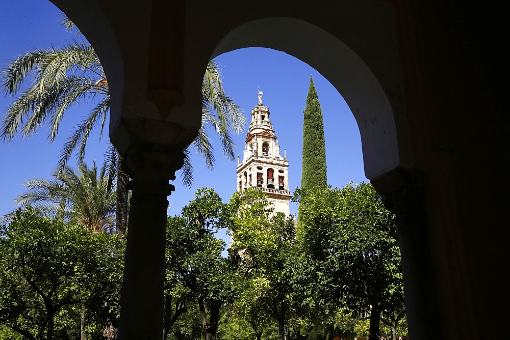 Abd er-Rahman III Minaret, tower of the Mosque (Mezquita) and Cathedral of Cordoba, and Patio de los Naranjas, Cordoba, Andalucia, Spain, Europe