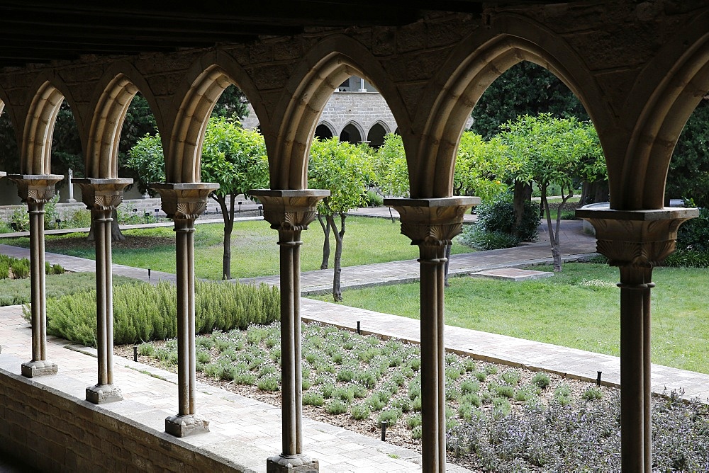 Pedralbes Monastery cloister, Barcelona, Catalonia, Spain, Europe