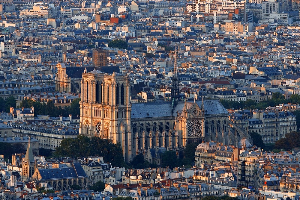 Notre-Dame de Paris Cathedral, Paris, France, Europe