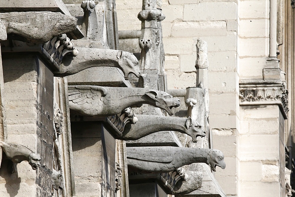 Gargoyles, Notre Dame de Paris cathedral, Paris, France, Europe