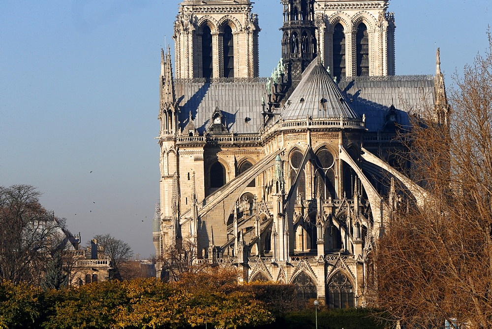 Chevet of Notre Dame Cathedral, Paris, France, Europe