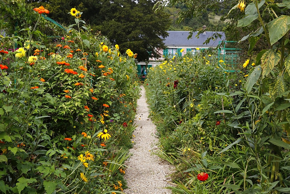 Monet's garden in Giverny, Yvelines, Normandy, France, Europe