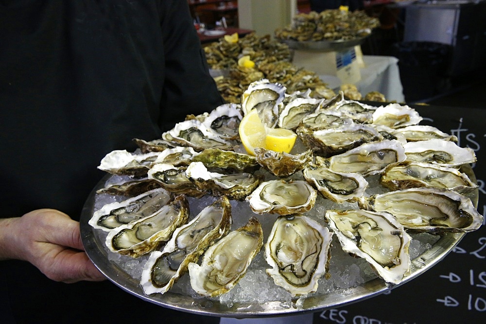 Oysters, Megeve, Haute-Savoie, France, Europe