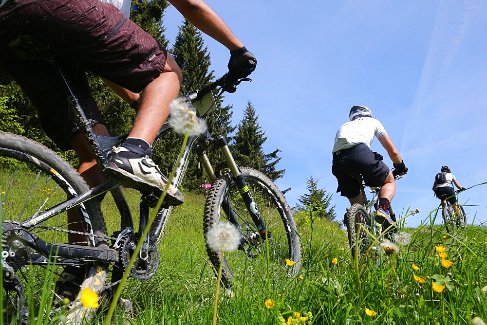 Dre Dans le l'Darbon, mountain bike race in the French Alps, Haute Savoie, France, Europe