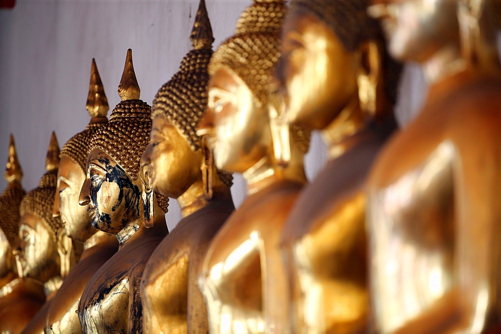 Seated Golden Buddha statues in a row at Wat Pho (Temple of the Reclining Buddha), Bangkok, Thailand, Southeast Asia, Asia