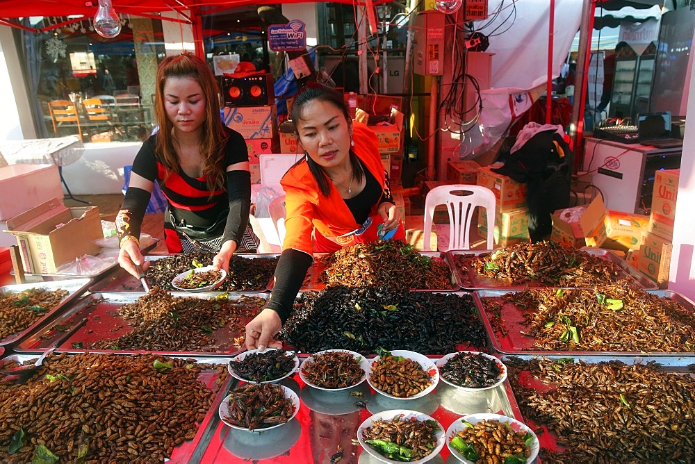 Display of fried insects, Food Market, Vientiane, Laos, Indochina, Southeast Asia, Asia