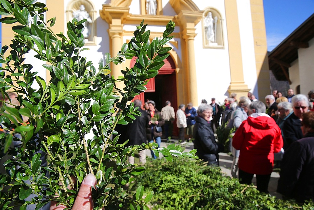 Palm Sunday Mass, Saint-Nicolas de Veroce church, Saint-Nicolas-de-Veroce, Haute-Savoie, France, Europe