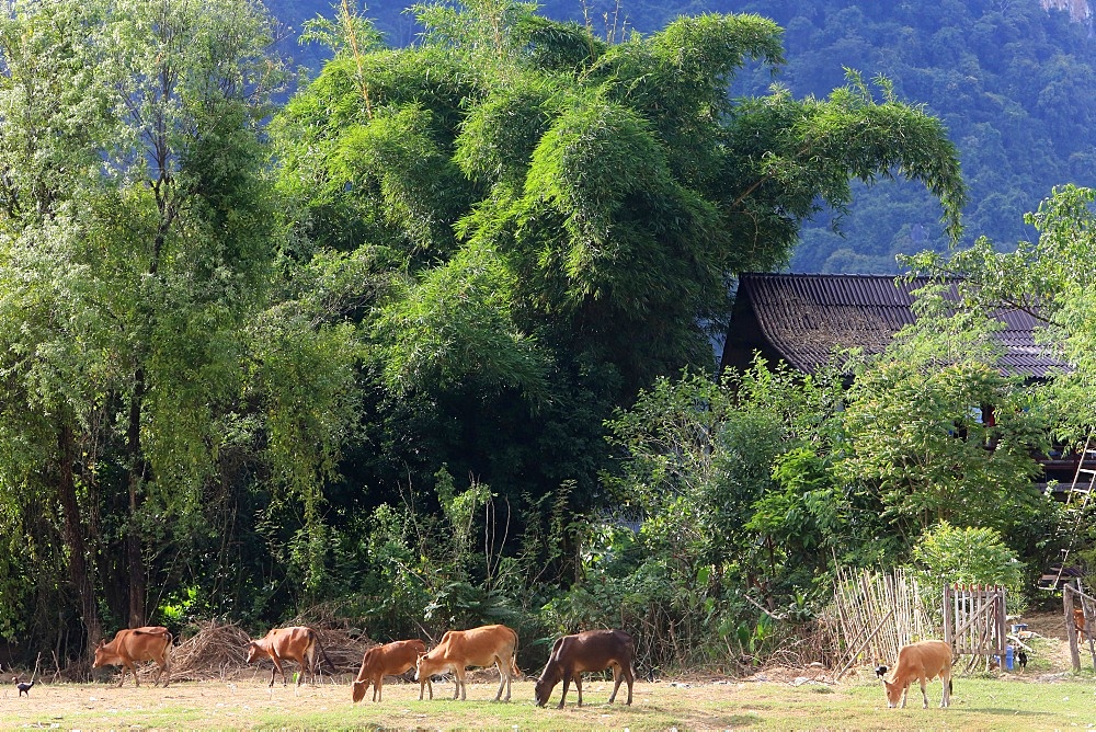 Mountainsides in rural Laos near the town of Vang Vieng, Laos, Indochina, Southeast Asia, Asia