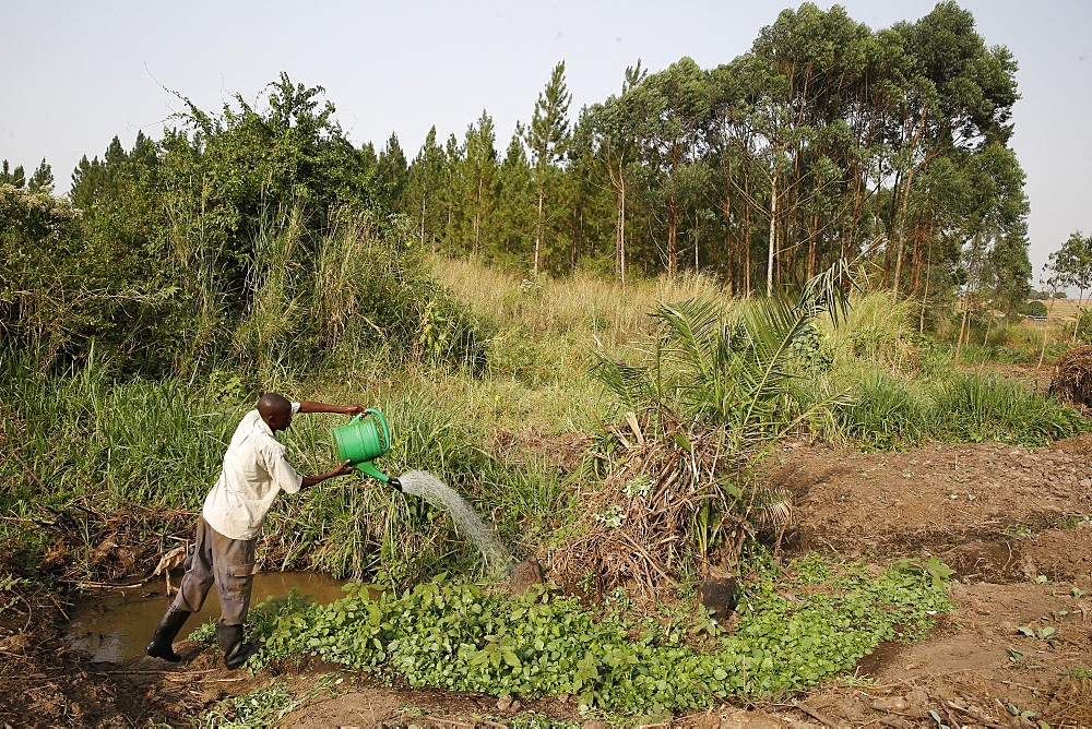 Farmer Apollo Byarunga received two loans from ENCOT microfinance, Uganda, Africa