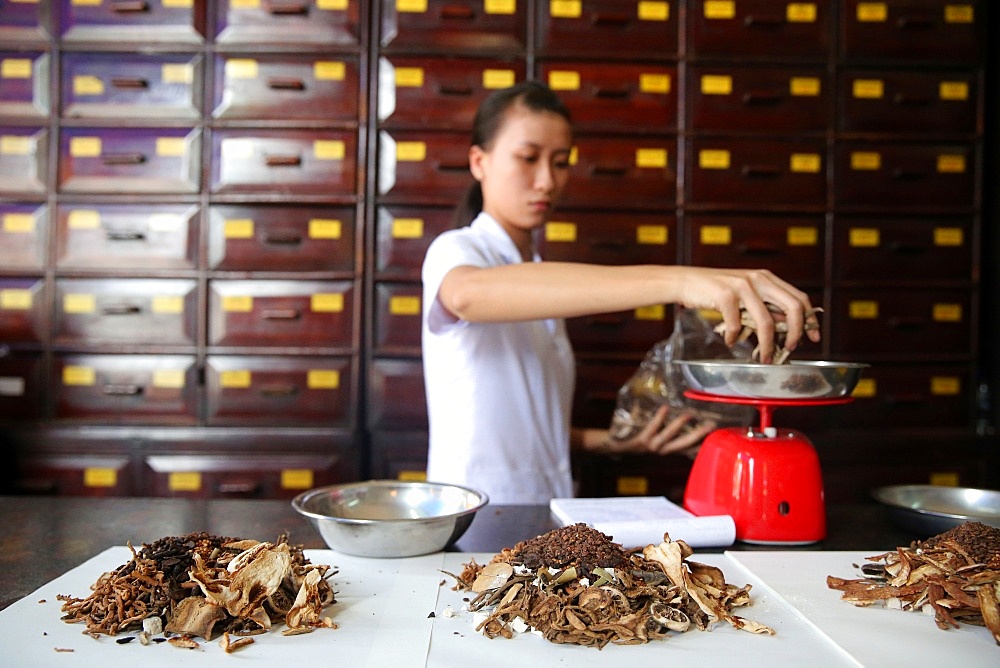 Herbal medicine therapy, traditional Chinese medicine pharmacy, Ho Chi Minh City, Vietnam, Indochina, Southeast Asia, Asia