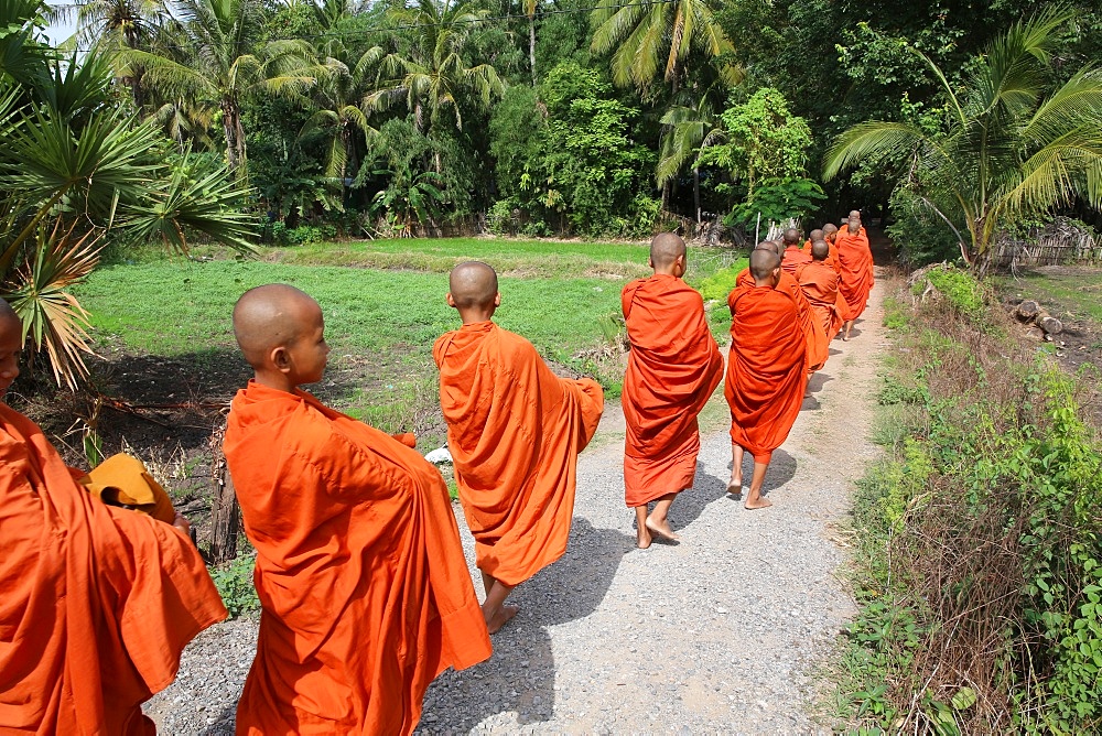 Buddhist monks on morning alms round in Western Cambodia, Indochina, Southeast Asia, Asia