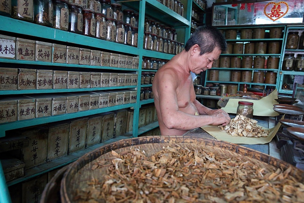 Herbal medicine therapy, traditional Chinese medicine pharmacy, Ho Chi Minh City, Vietnam, Indochina, Southeast Asia, Asia